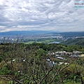 P1210565 (2).jpg