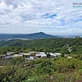 P1210565 (1).jpg