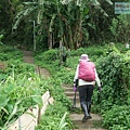 P1210568.jpg