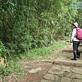 P1210575.jpg