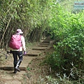 P1210577.jpg