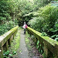 P1210580.jpg