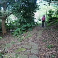 P1210582.jpg