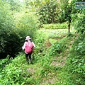 P1210584.jpg
