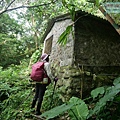 P1210587.jpg