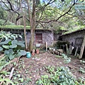 P1210588.jpg