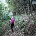P1210586.jpg