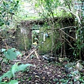 P1210589.jpg