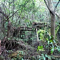 P1210590.jpg