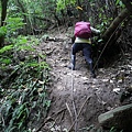 P1210595.jpg