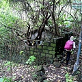 P1210591.jpg