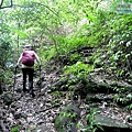 P1210594.jpg