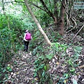 P1210592.jpg