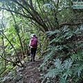 P1210598.jpg