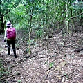 P1210600.jpg