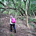 P1210604.jpg