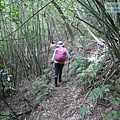 P1210599.jpg