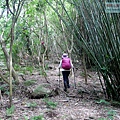 P1210614.jpg