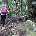 P1210625.jpg