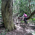 P1210626.jpg
