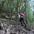 P1210629.jpg