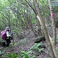 P1210630.jpg