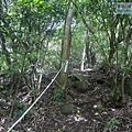 P1210632.jpg