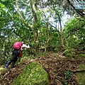 P1210634.jpg