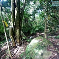 P1210635.jpg