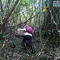 P1210639.jpg