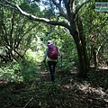 P1210640.jpg