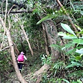 P1211034.jpg