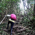P1211032.jpg