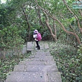 P1211040.jpg