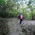 P1211042.jpg