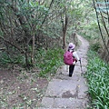 P1211044.jpg