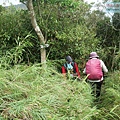 P1211069.jpg