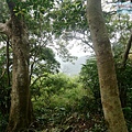 P1211094.jpg