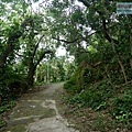 P1211275.jpg