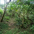 P1211279.jpg