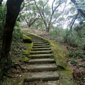 P1211280.jpg