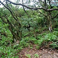 P1211283.jpg