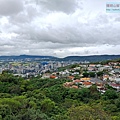 P1211313 (2).jpg
