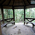 P1211325.jpg