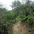 P1211332.jpg