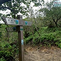 P1211331.jpg