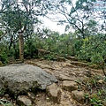 P1211337 (1).jpg