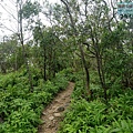 P1211341.jpg