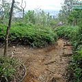 P1211342.jpg