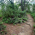 P1211344.jpg